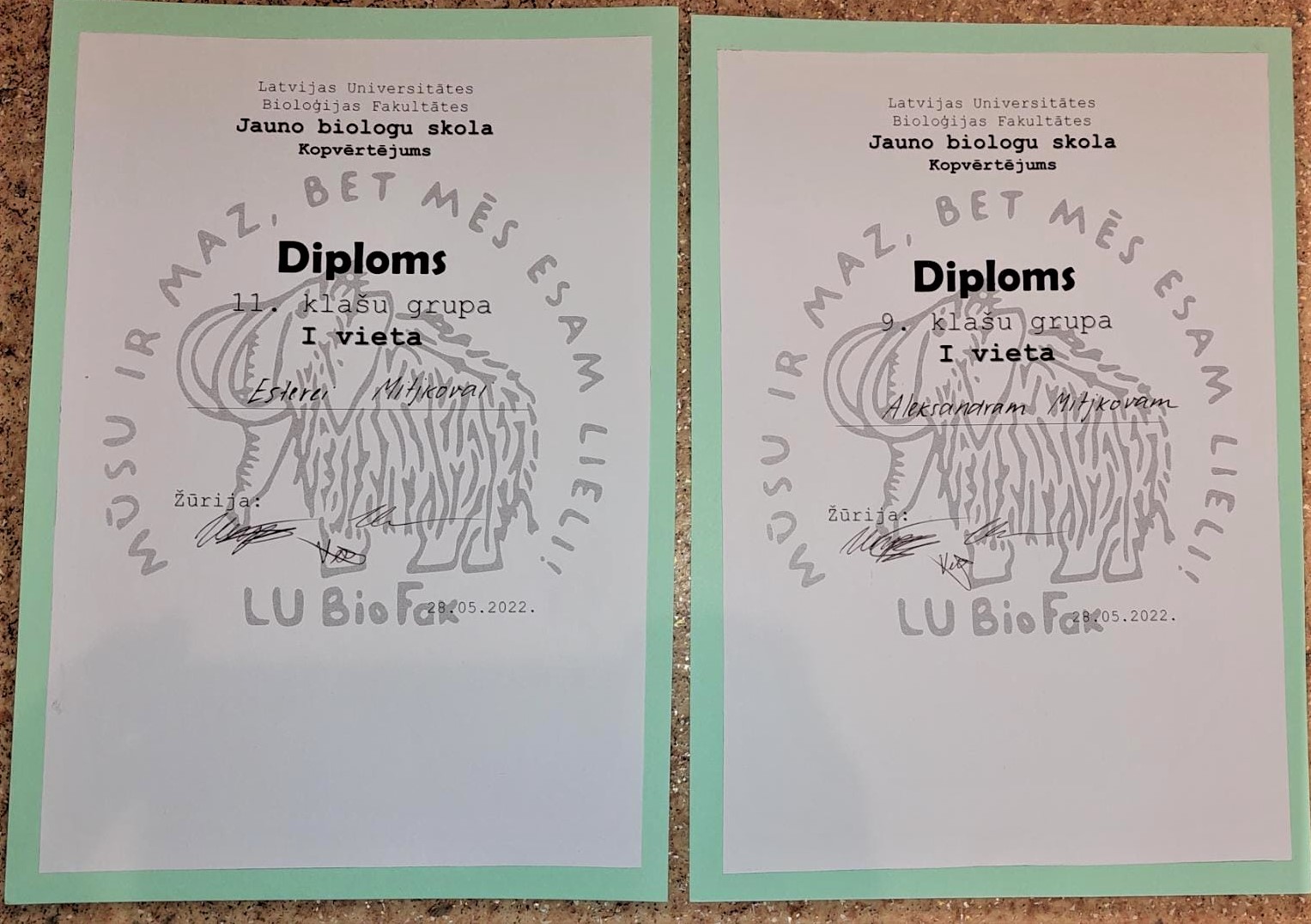 Diplomi