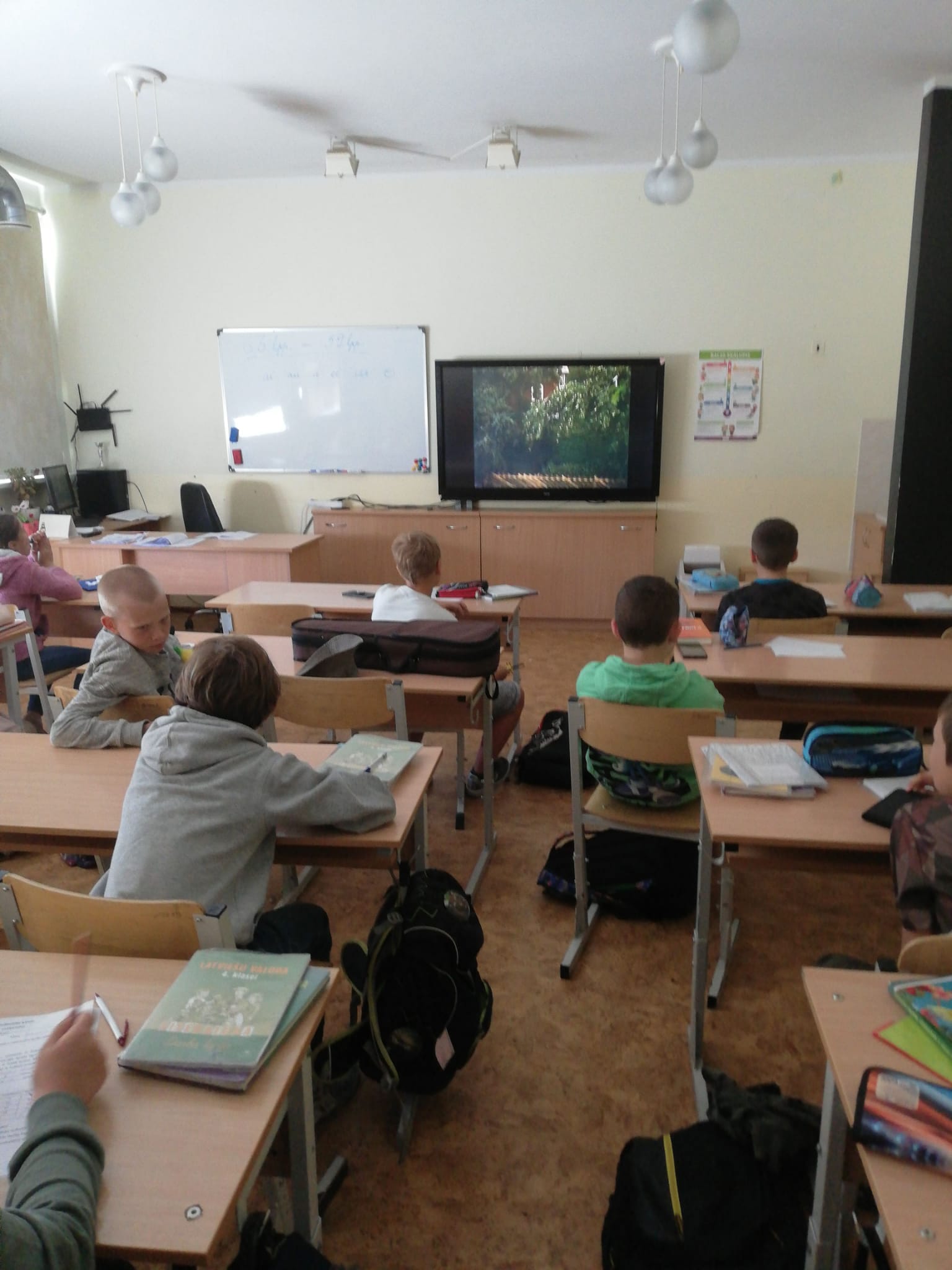 4.a vēro koku dzīvi