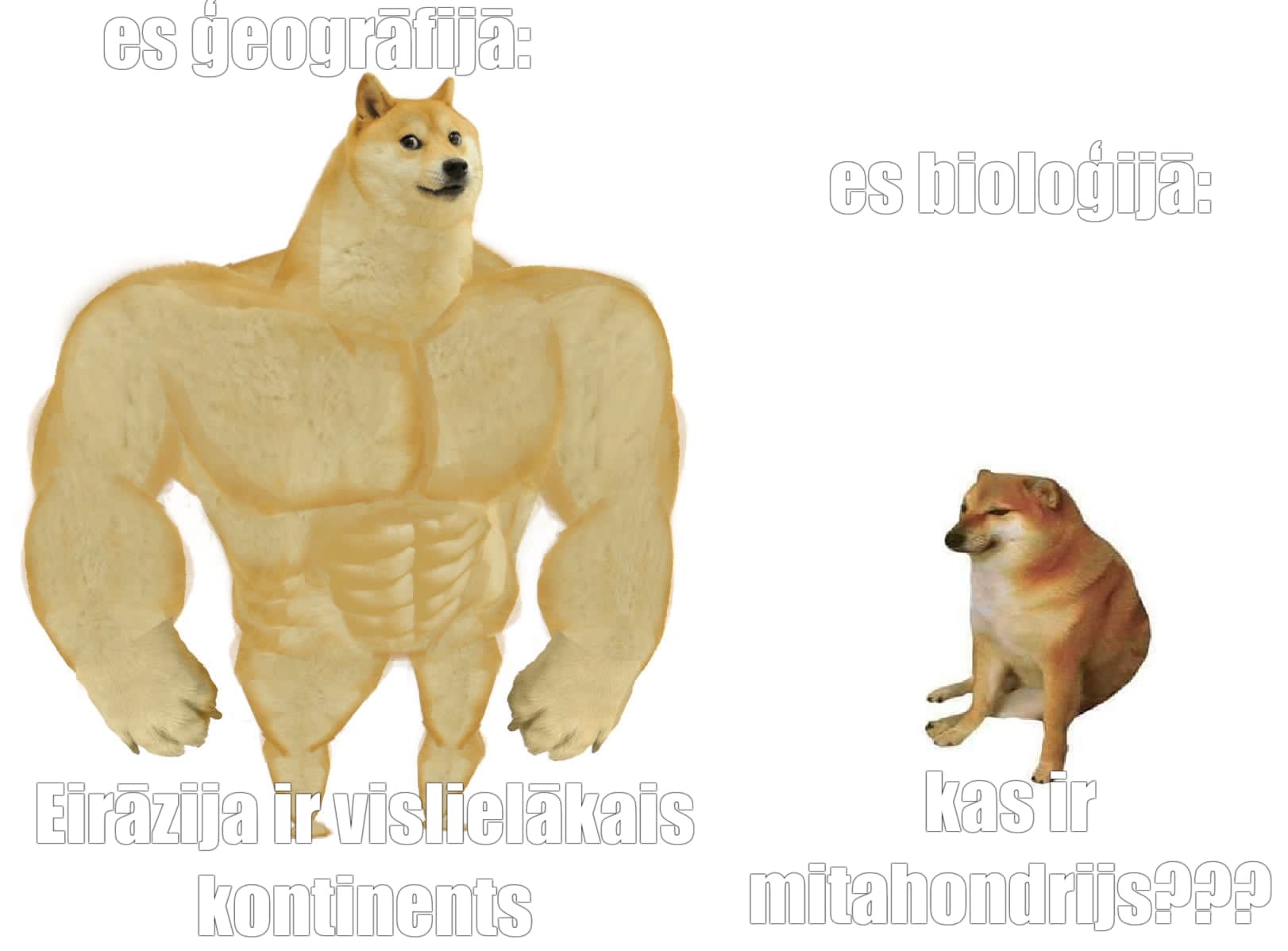 meme